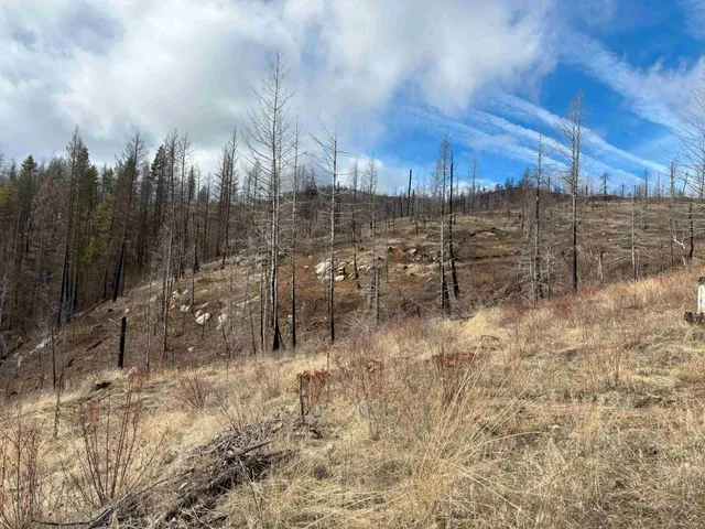 $260,000 | Lot 7 Rail Canyon Road, Tumtum, WA 99034