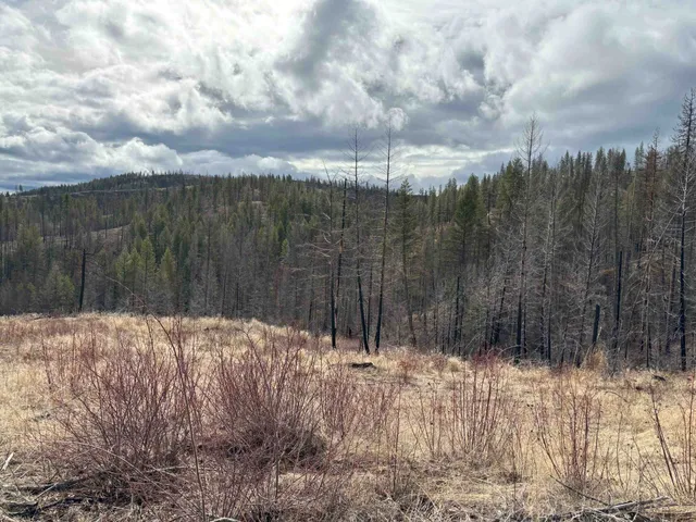 $260,000 | Lot 7 Rail Canyon Road, Tumtum, WA 99034