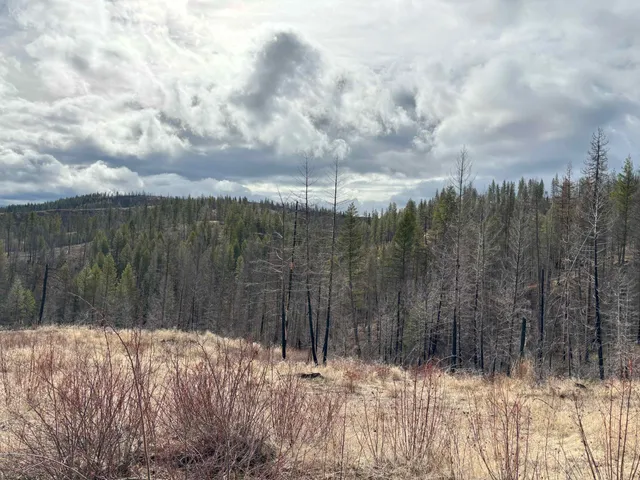 $260,000 | Lot 7 Rail Canyon Road, Tumtum, WA 99034