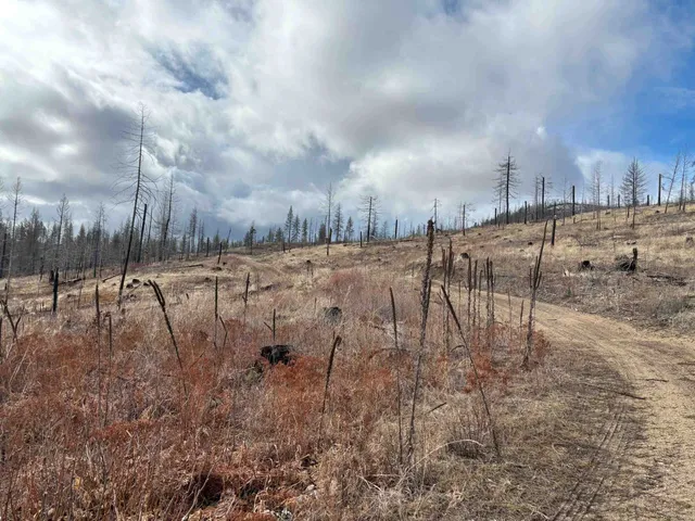 $260,000 | Lot 7 Rail Canyon Road, Tumtum, WA 99034