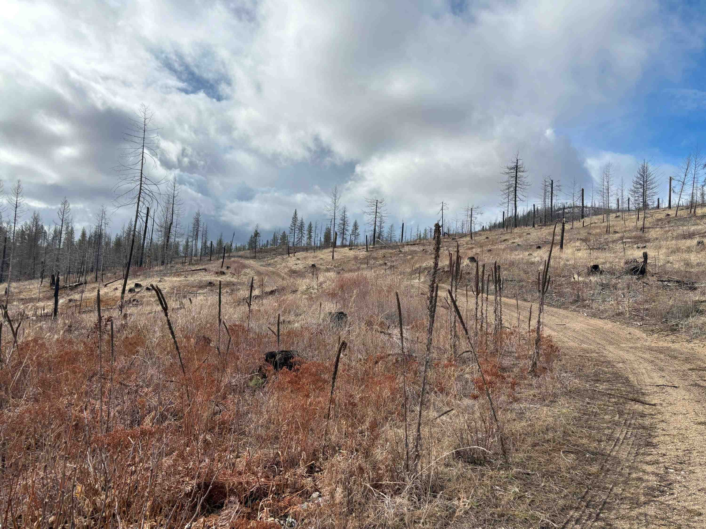 Lot 7 Rail Canyon Road Tumtum, WA 99034 - Photo 21 of 24