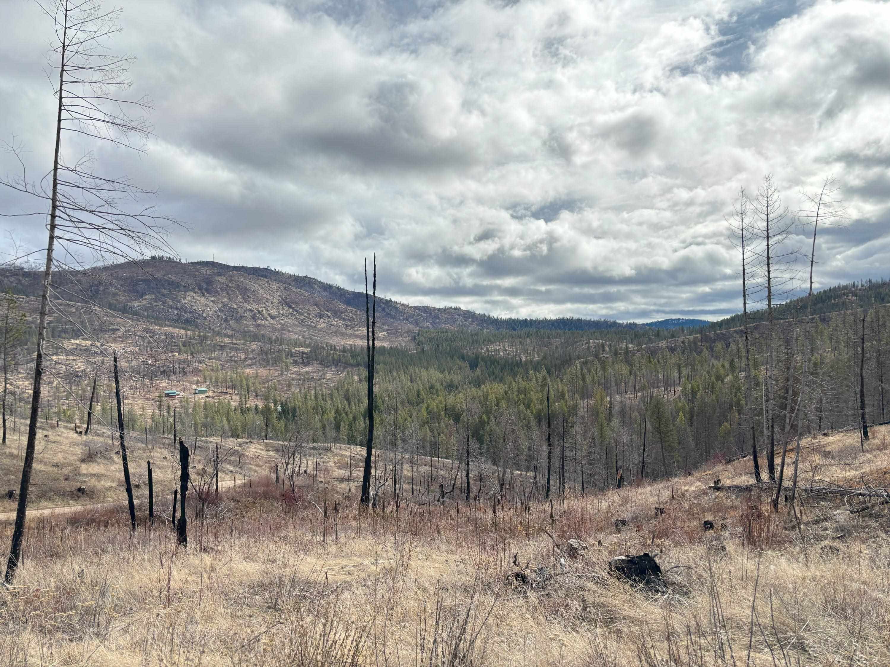Lot 7 Rail Canyon Road Tumtum, WA 99034 - Photo 22 of 24