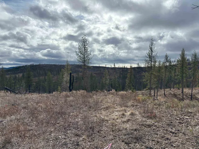 $260,000 | Lot 7 Rail Canyon Road, Tumtum, WA 99034