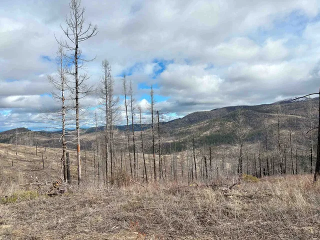 $260,000 | Lot 7 Rail Canyon Road, Tumtum, WA 99034