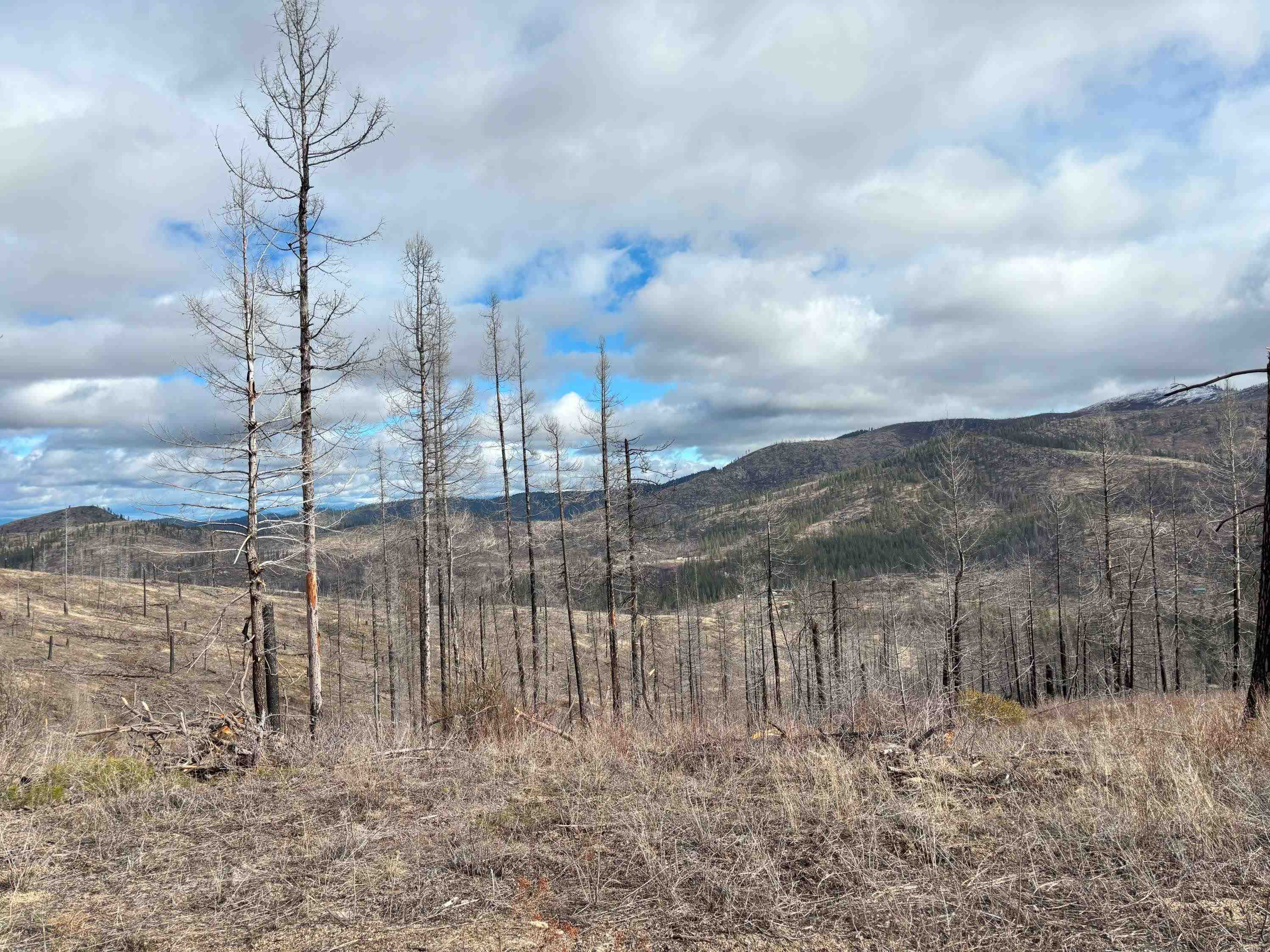 Lot 7 Rail Canyon Road Tumtum, WA 99034 - Photo 24 of 24