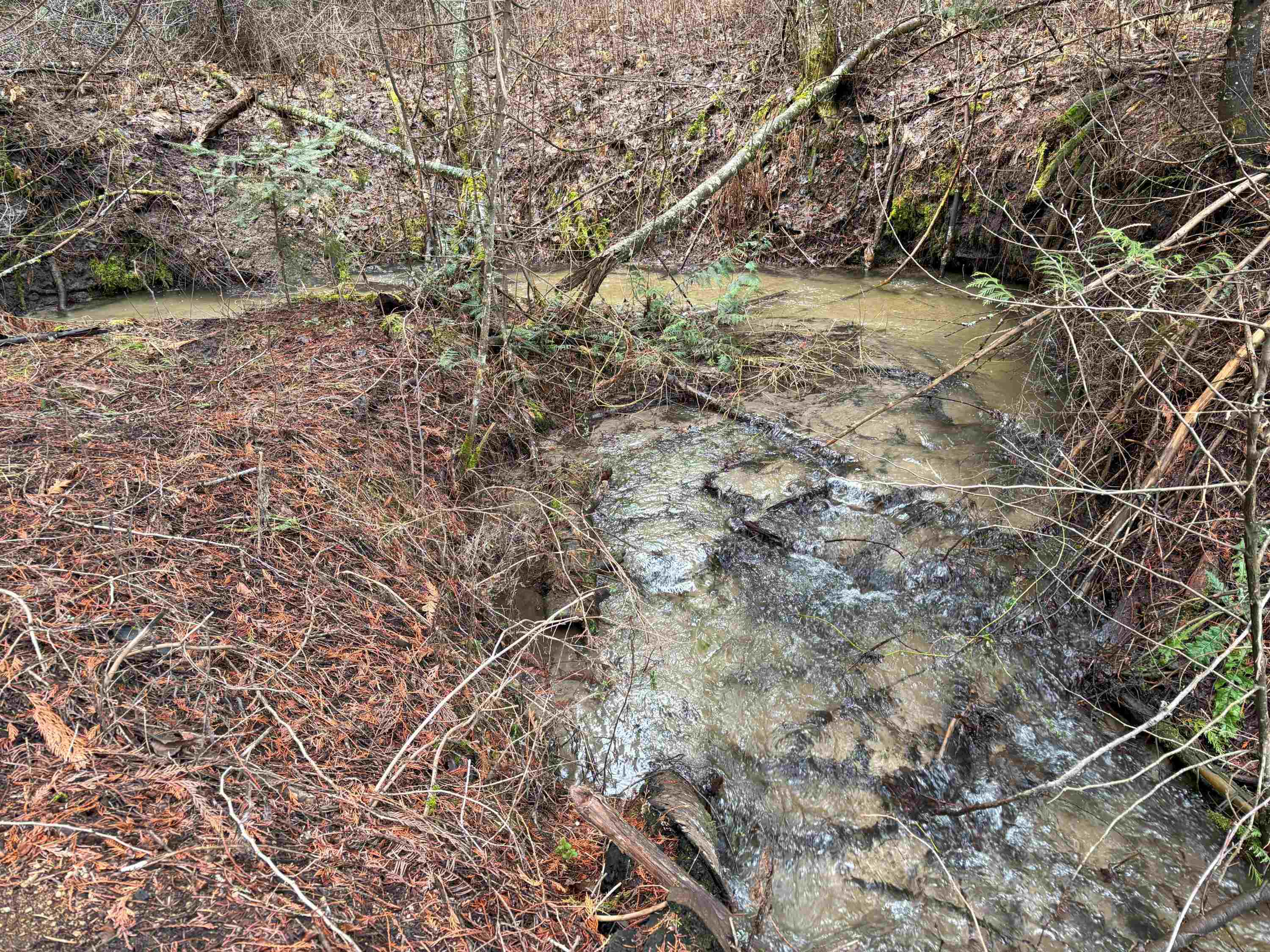 Lot 7 Rail Canyon Road Tumtum, WA 99034 - Photo 3 of 24