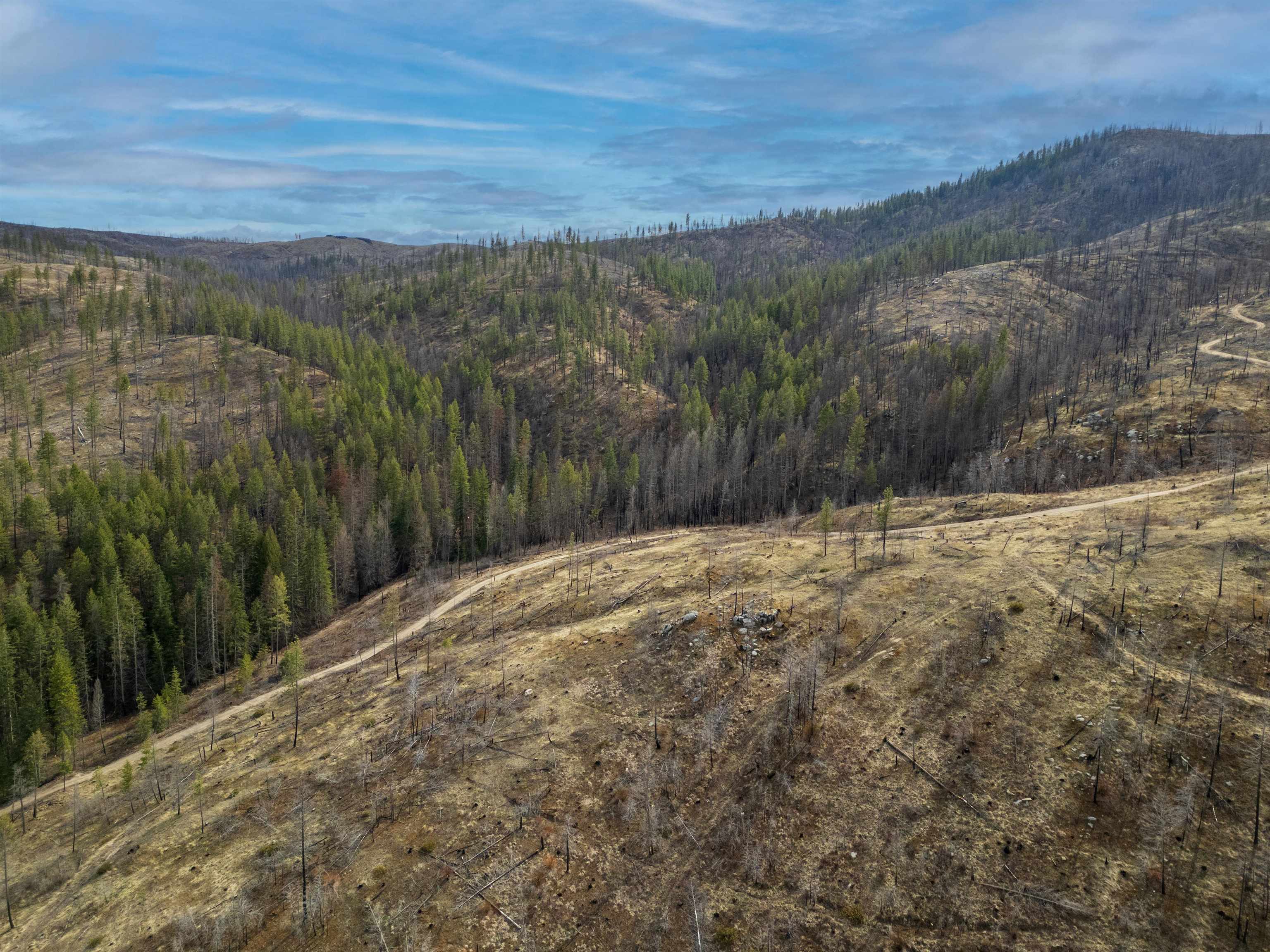 Lot 7 Rail Canyon Road Tumtum, WA 99034 - Photo 6 of 24