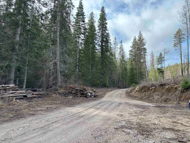 $260,000 | Lot 7 Rail Canyon Road, Tumtum, WA 99034