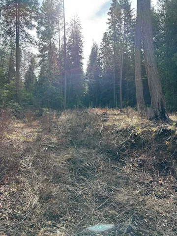 $260,000 | Lot 7 Rail Canyon Road, Tumtum, WA 99034