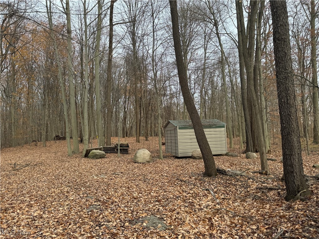 4255 Alexander Road Atwater, OH 44201 - Photo 4 of 10 View of this site featuring a storage shed