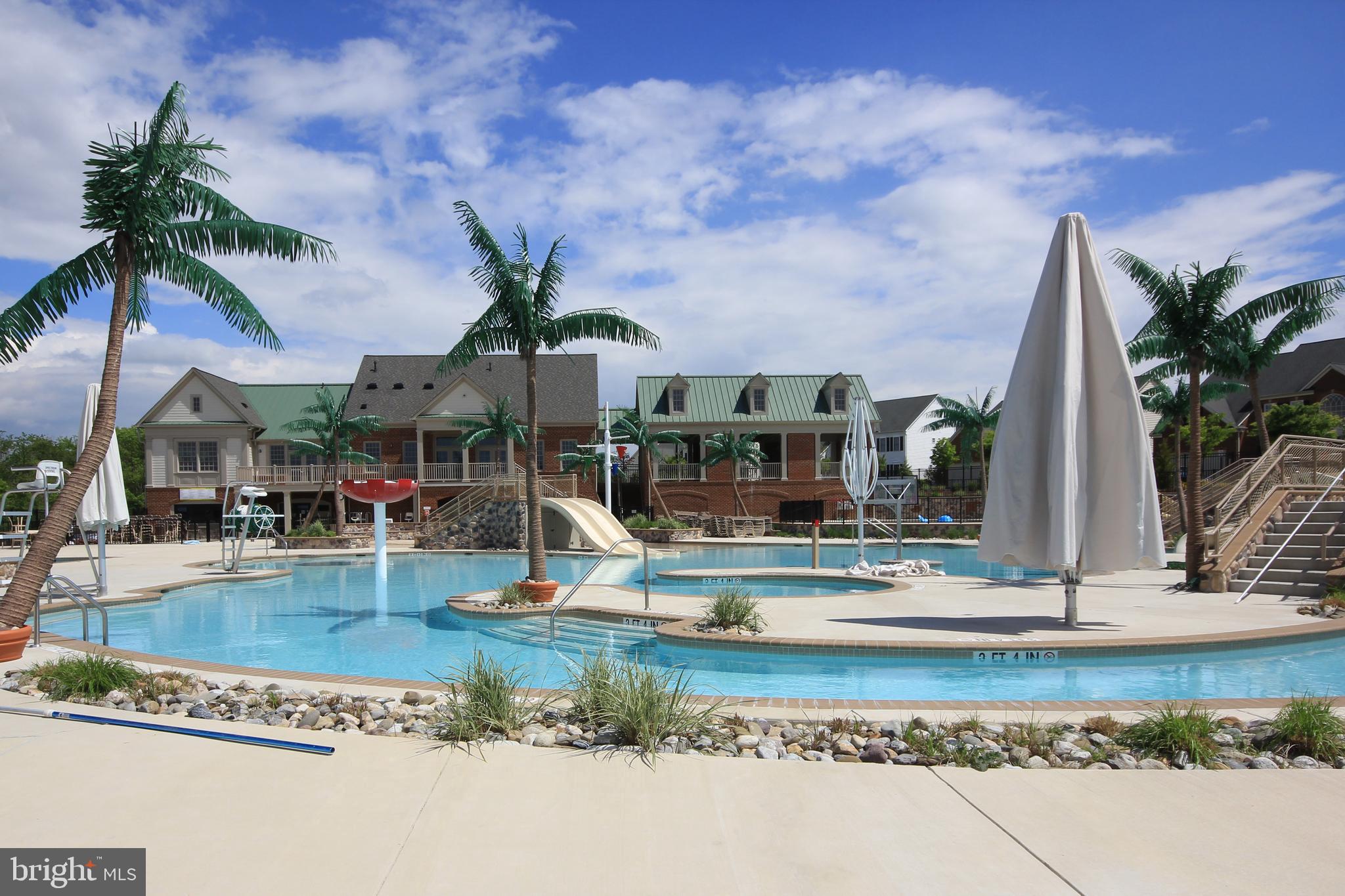 3624 Spring Hollow Lane Frederick, MD 21704 - Photo 36 of 46 a view of a water with palm trees