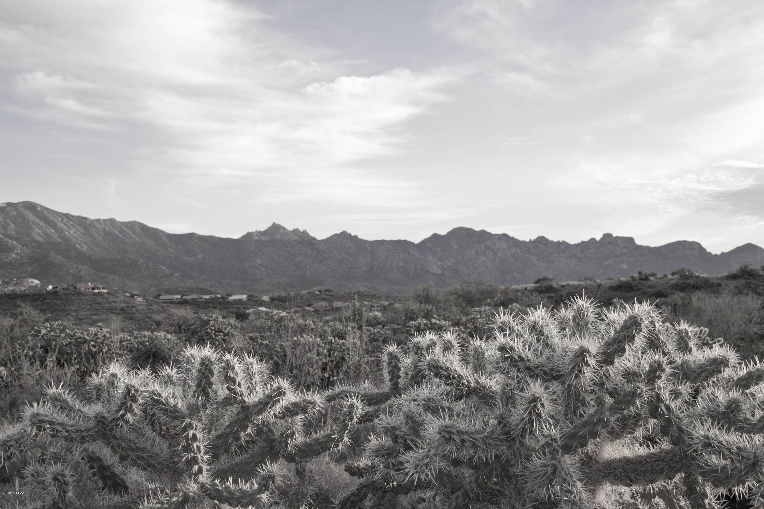 0 East Horseshoe Bend Road, Unit 2 Tucson, AZ 85739 - Photo 4 of 4