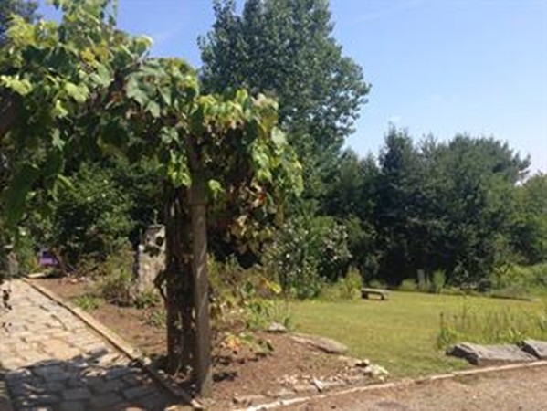 355 Monson Turnpike Road Ware, MA 01082 - Photo 3 of 6 a view of a yard