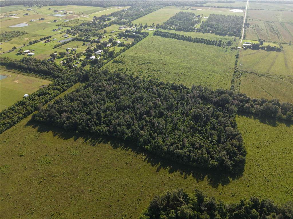 Tbd Tbd Briar Marsh Road, Unit 70657 Ragley, LA 70657 - Photo 2 of 11 Gallery Image 2