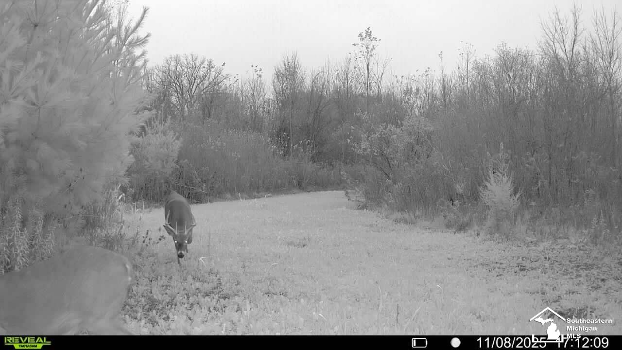 13343 Ostrander Road Maybee, MI 48159 - Photo 18 of 19