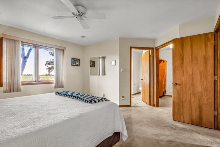323 33 Road Palisade, CO 81526 - Photo 9 of 38 Gallery Image 9