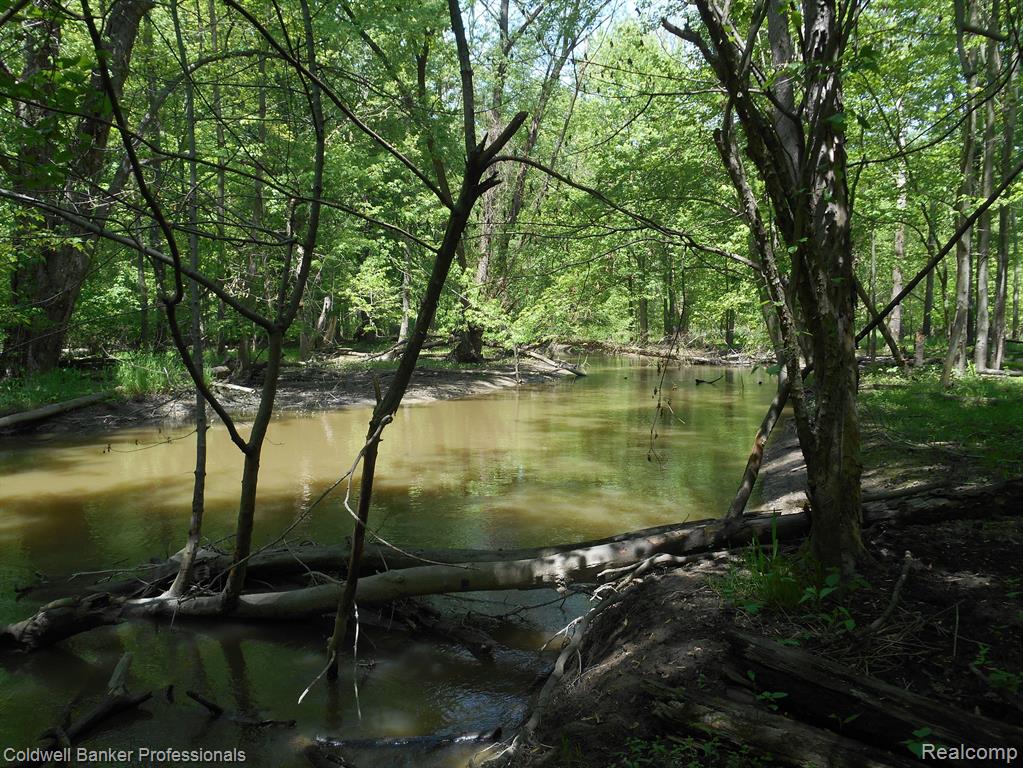 1651 Castle Road North Branch, MI 48461 - Photo 20 of 30 Gallery Image 20