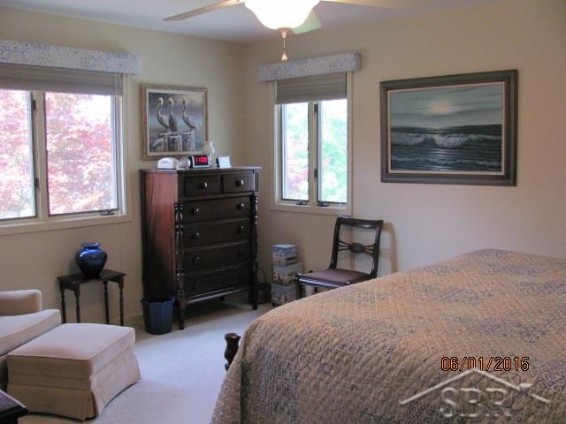 751 Wren Road Frankenmuth, MI 48734 - Photo 11 of 26 Mst Bedroom