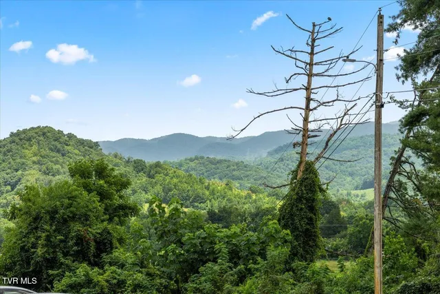 $189,000 | 201 Ron Royce Drive, Unit 1, Elizabethton, TN 37643