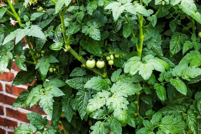 $189,000 | 201 Ron Royce Drive, Unit 1, Elizabethton, TN 37643