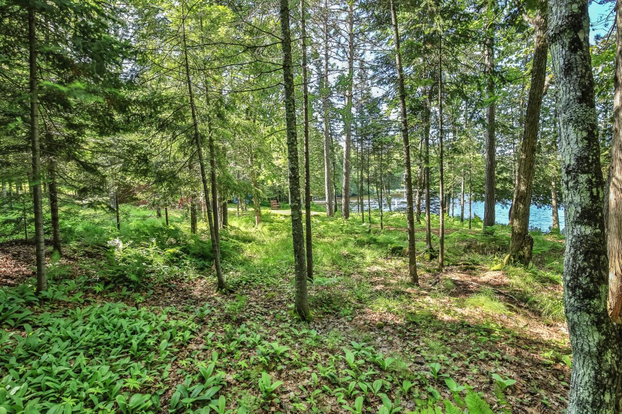 7063 Cth West Presque Isle, WI 54557 - Photo 52 of 67 Gallery Image 52
