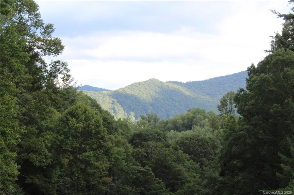 0 Riddle Branch Road Burnsville, NC 28714 - Photo 3 of 8 Gallery Image 3