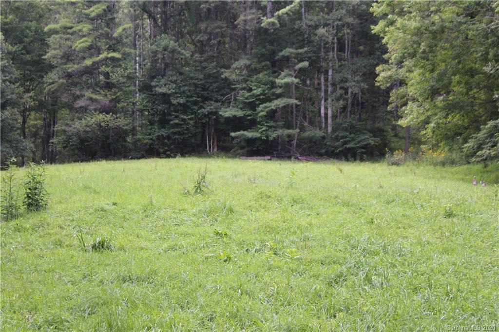 0 Riddle Branch Road Burnsville, NC 28714 - Photo 4 of 8 Gallery Image 4