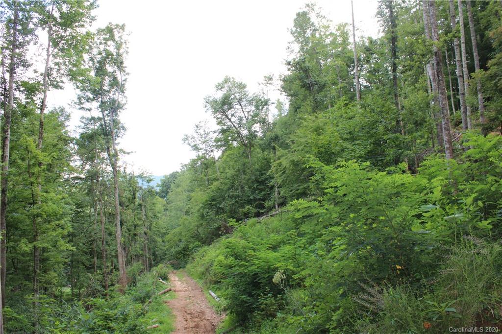 0 Riddle Branch Road Burnsville, NC 28714 - Photo 5 of 8 Gallery Image 5