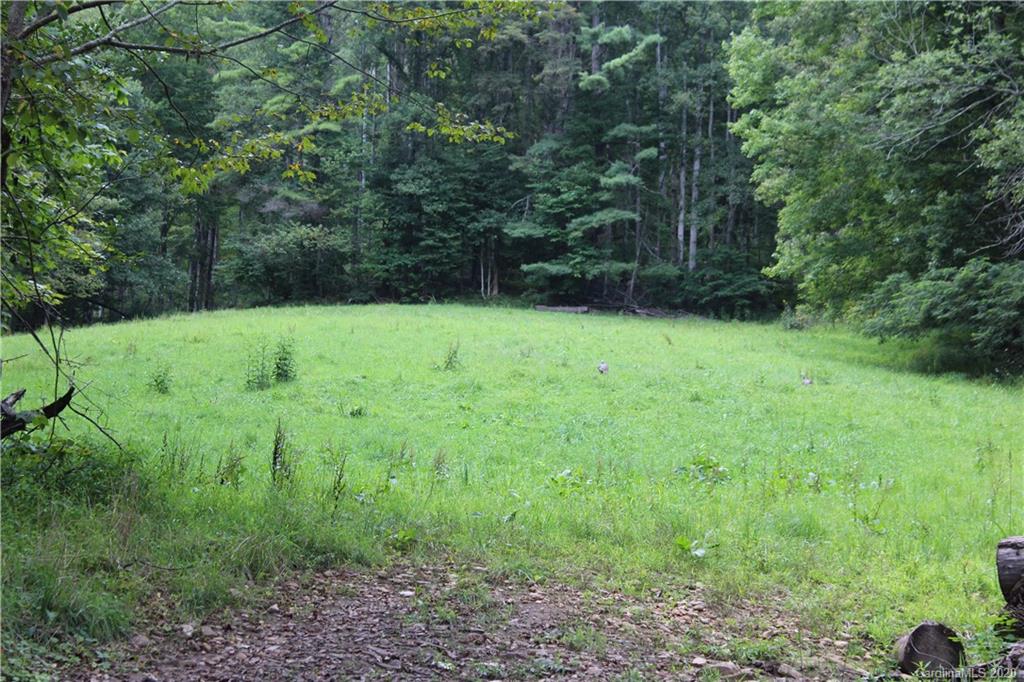 0 Riddle Branch Road Burnsville, NC 28714 - Photo 6 of 8 Gallery Image 6