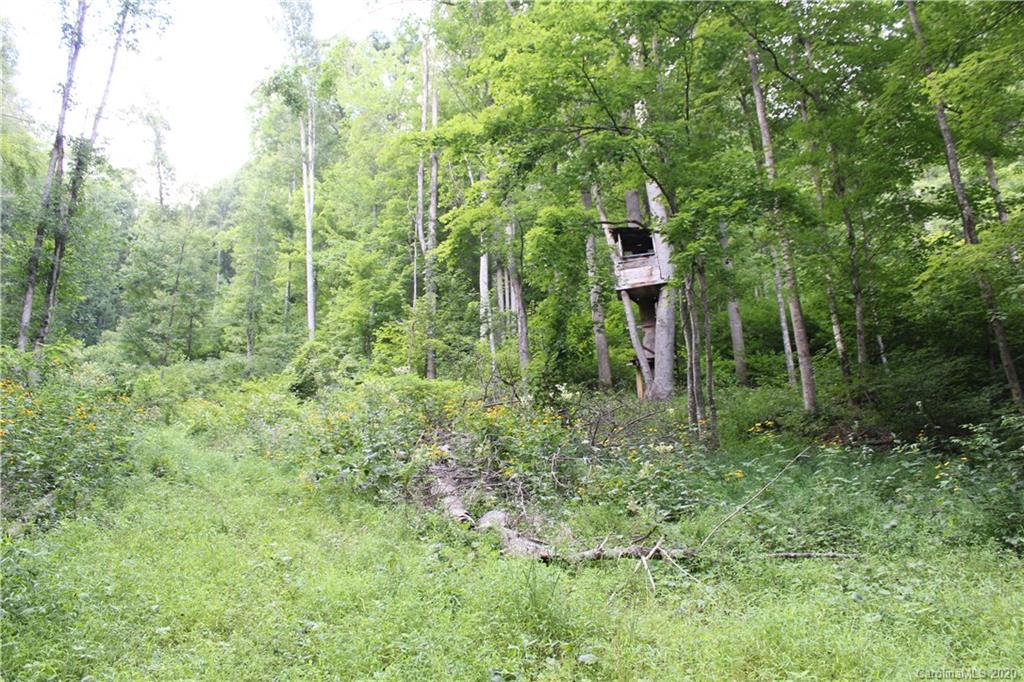 0 Riddle Branch Road Burnsville, NC 28714 - Photo 7 of 8 Gallery Image 7