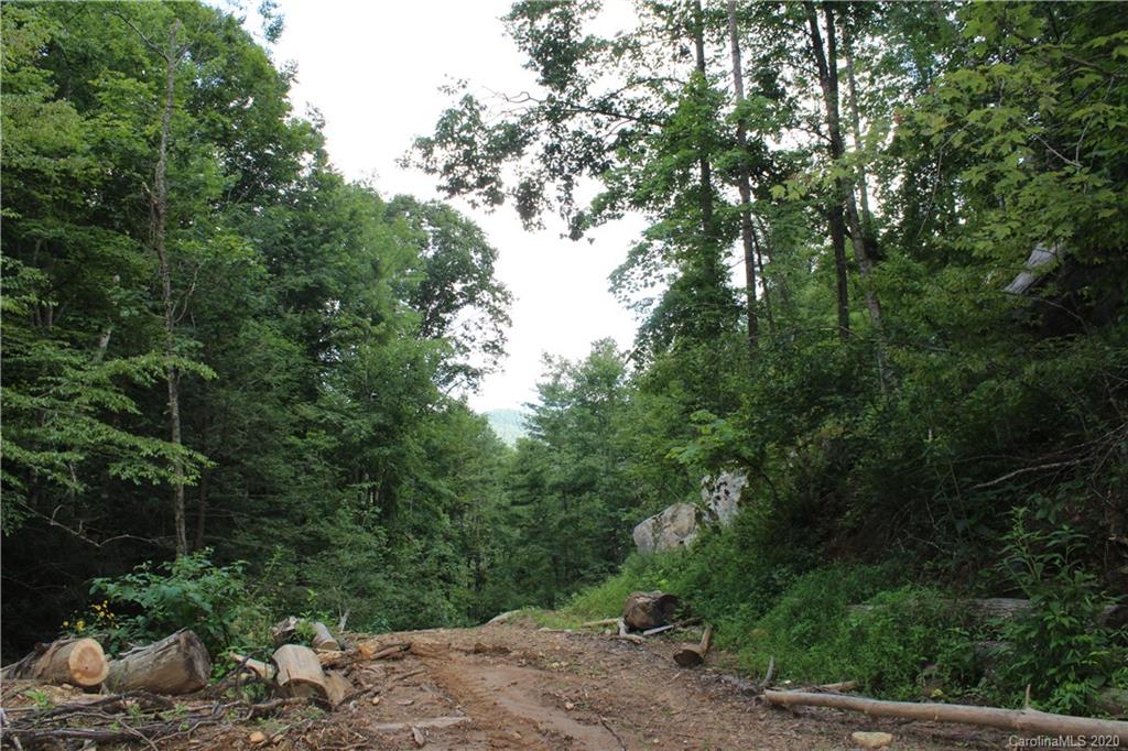 0 Riddle Branch Road Burnsville, NC 28714 - Photo 8 of 8 Gallery Image 8