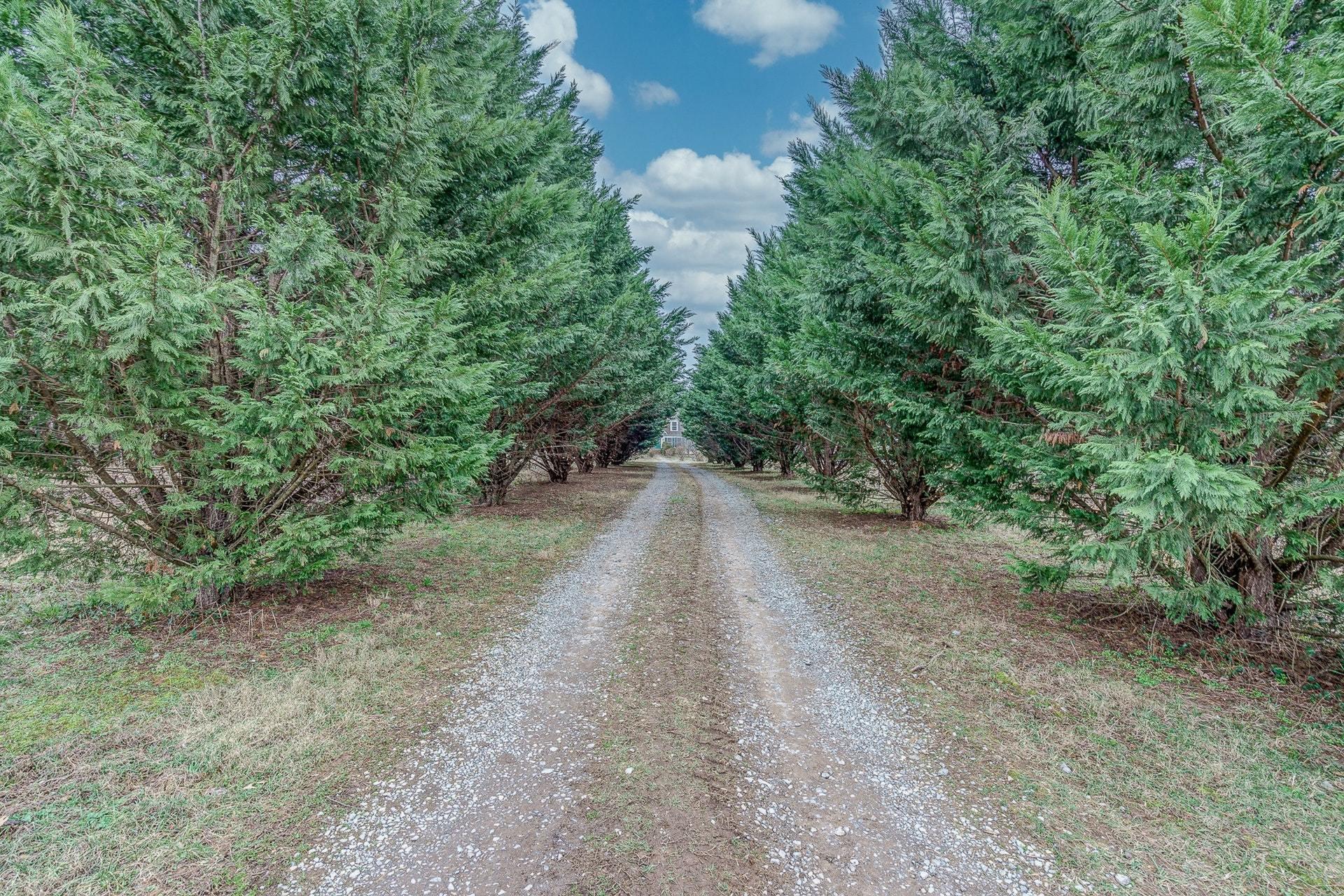 11356 Dickerson Mill Road Moneta, VA 24121 - Photo 46 of 61 045-337851-11356 Dickerson Mill Rd 045_8
