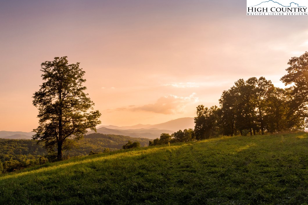 a view of a field of grass and trees