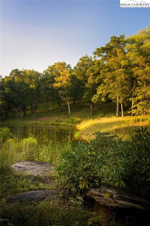 81 Adkins Farm Road Spruce Pine, NC 28777 - Photo 11 of 37