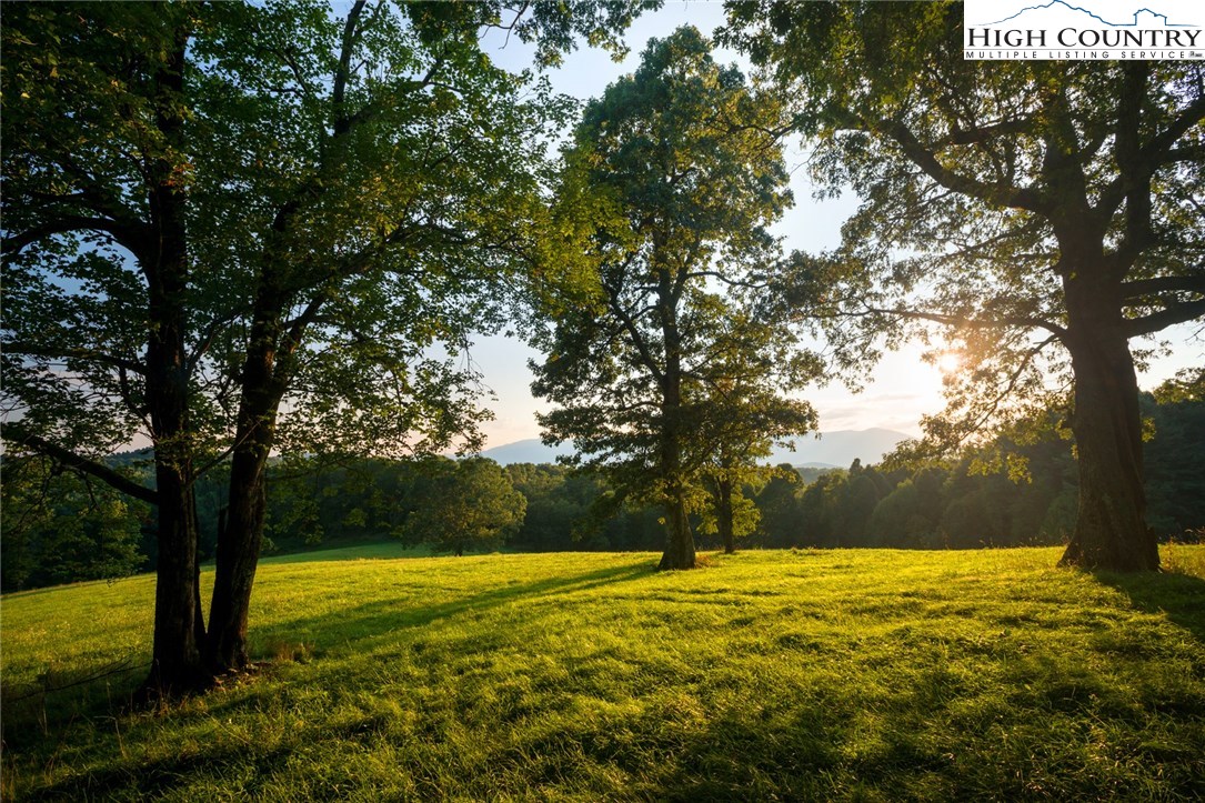 81 Adkins Farm Road Spruce Pine, NC 28777 - Photo 12 of 37 a view of yard