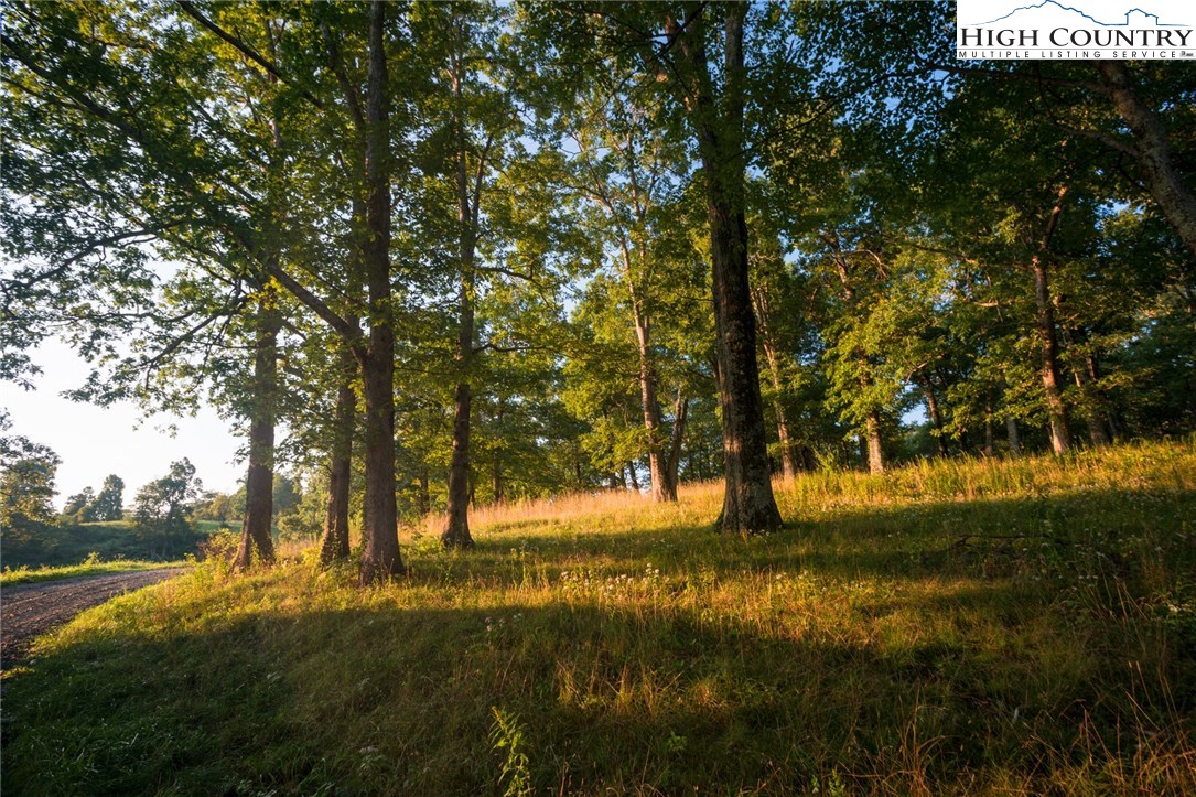 81 Adkins Farm Road Spruce Pine, NC 28777 - Photo 13 of 37 a view of yard