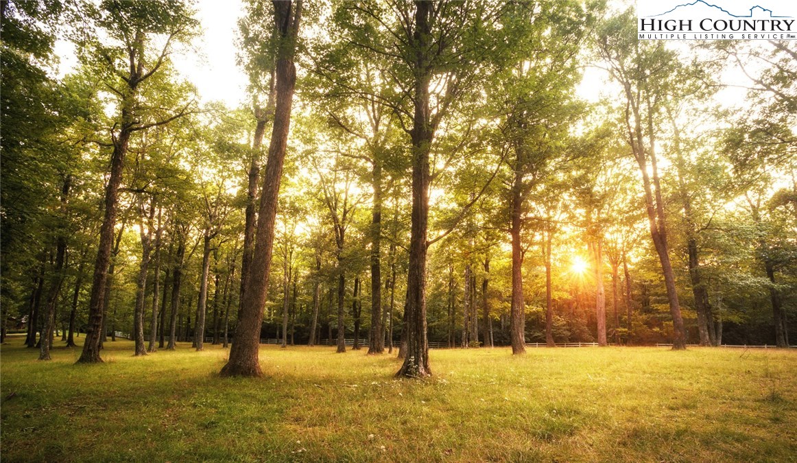 81 Adkins Farm Road Spruce Pine, NC 28777 - Photo 16 of 37 a view of yard with trees