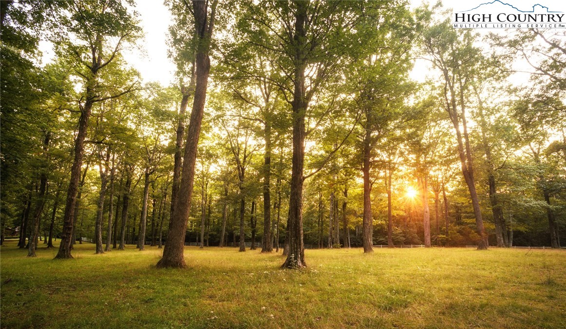 81 Adkins Farm Road Spruce Pine, NC 28777 - Photo 17 of 37 a view of yard with trees