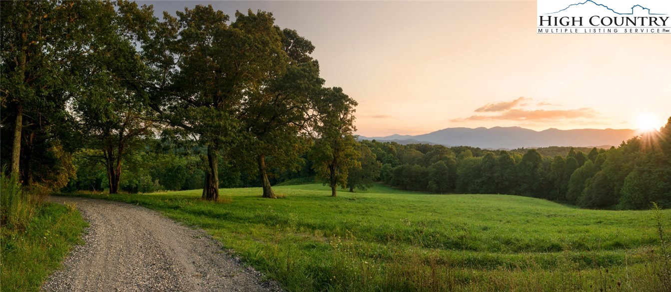 81 Adkins Farm Road Spruce Pine, NC 28777 - Photo 18 of 37 a view of grassy field with trees