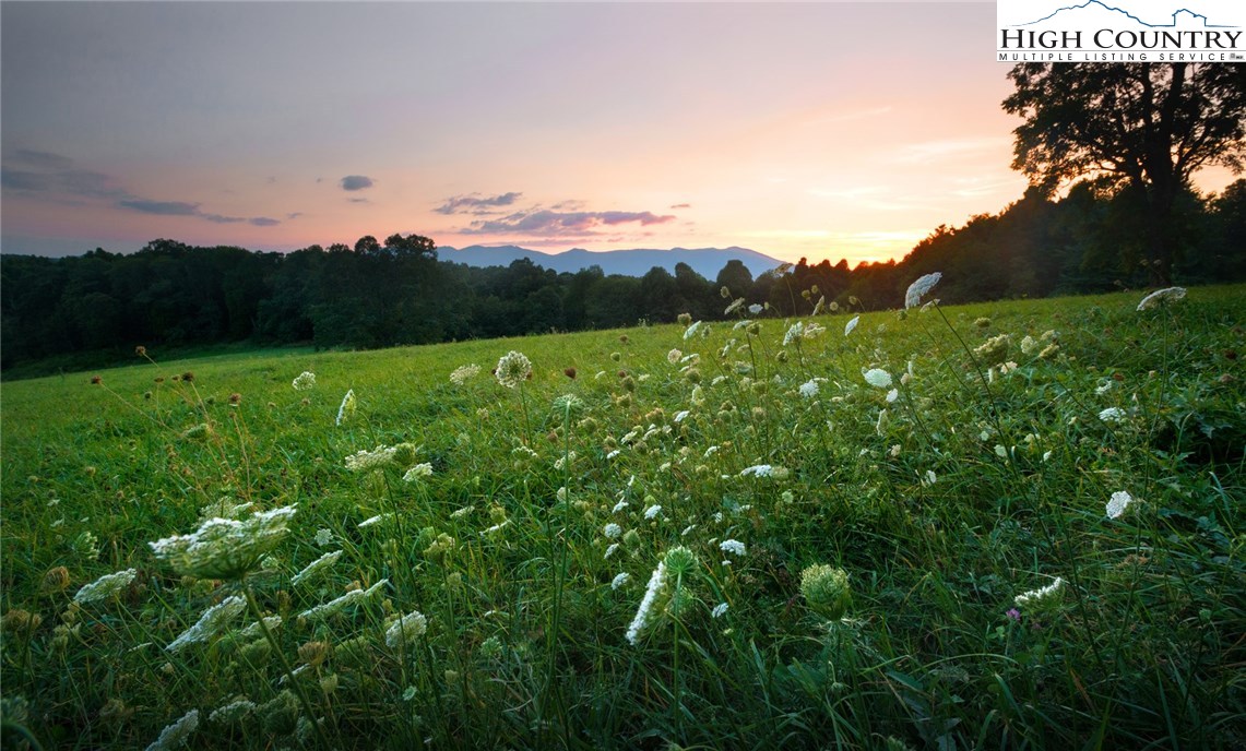 81 Adkins Farm Road Spruce Pine, NC 28777 - Photo 19 of 37 a view of a lush green space with sea