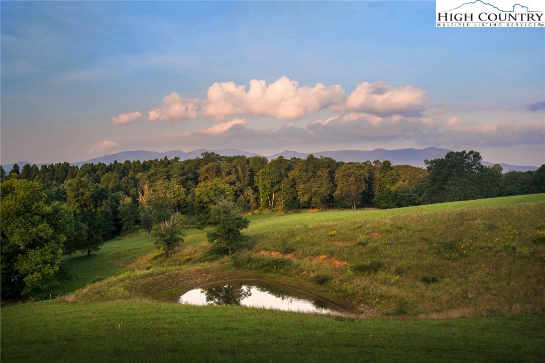 81 Adkins Farm Road Spruce Pine, NC 28777 - Photo 22 of 37 a view of a big yard with lots of green space and mountain view
