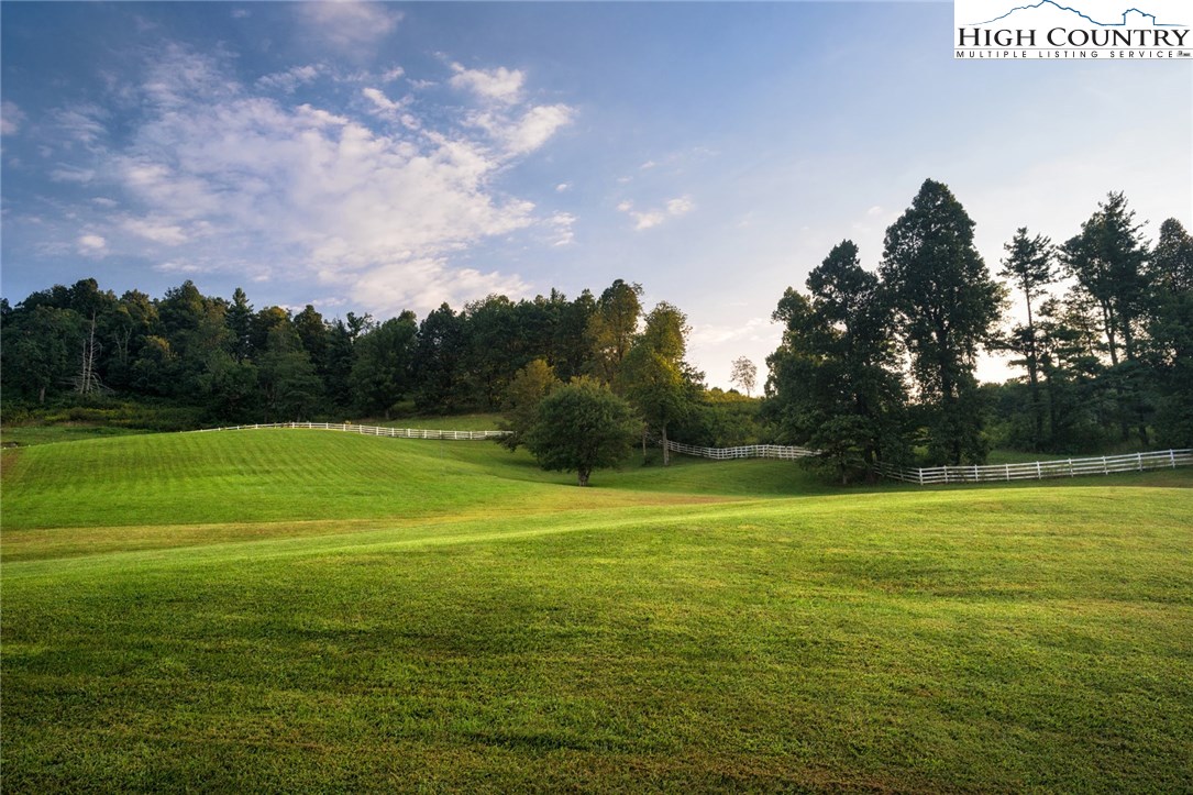 81 Adkins Farm Road Spruce Pine, NC 28777 - Photo 23 of 37 a view of a big yard with a large trees