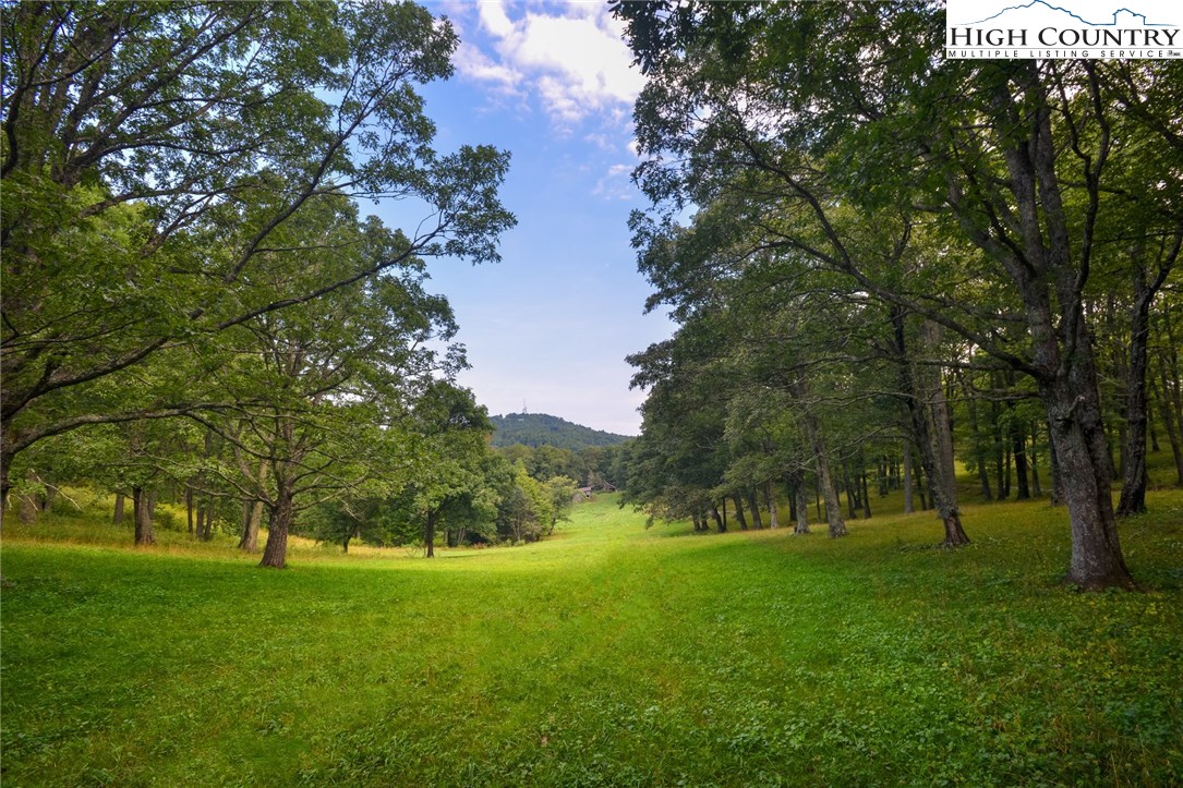 81 Adkins Farm Road Spruce Pine, NC 28777 - Photo 30 of 37 a view of green field