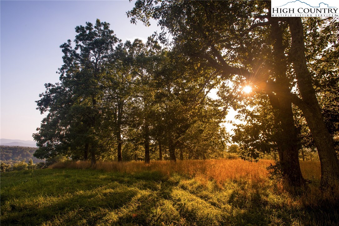 81 Adkins Farm Road Spruce Pine, NC 28777 - Photo 3 of 37 a view of outdoor space and trees