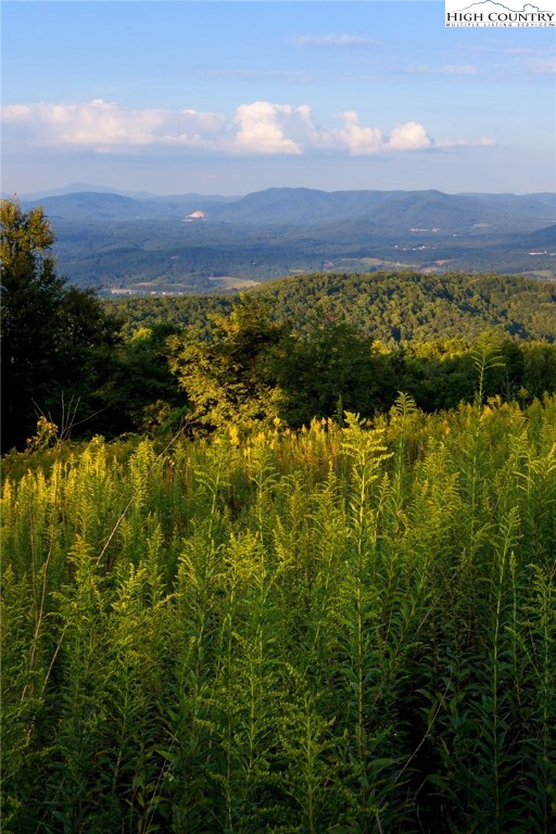 81 Adkins Farm Road Spruce Pine, NC 28777 - Photo 34 of 37 a view of an ocean