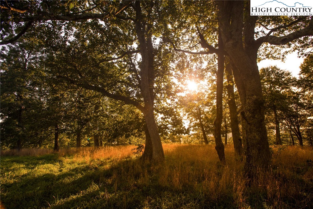 81 Adkins Farm Road Spruce Pine, NC 28777 - Photo 4 of 37