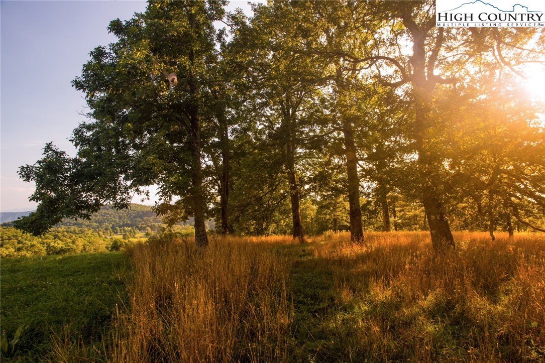 81 Adkins Farm Road Spruce Pine, NC 28777 - Photo 5 of 37 a view of mountain