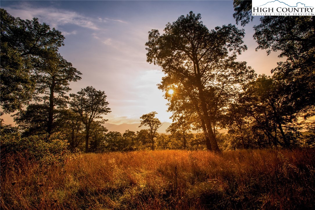 81 Adkins Farm Road Spruce Pine, NC 28777 - Photo 6 of 37 a view of mountain covered with trees