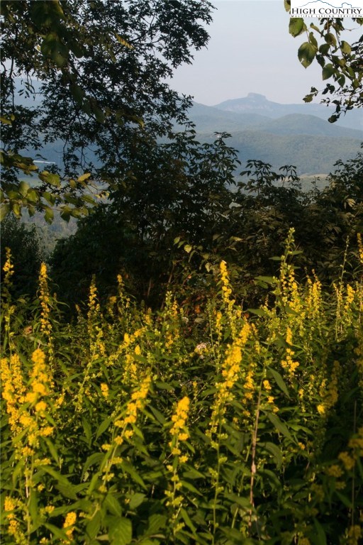 81 Adkins Farm Road Spruce Pine, NC 28777 - Photo 7 of 37 a view of a lake