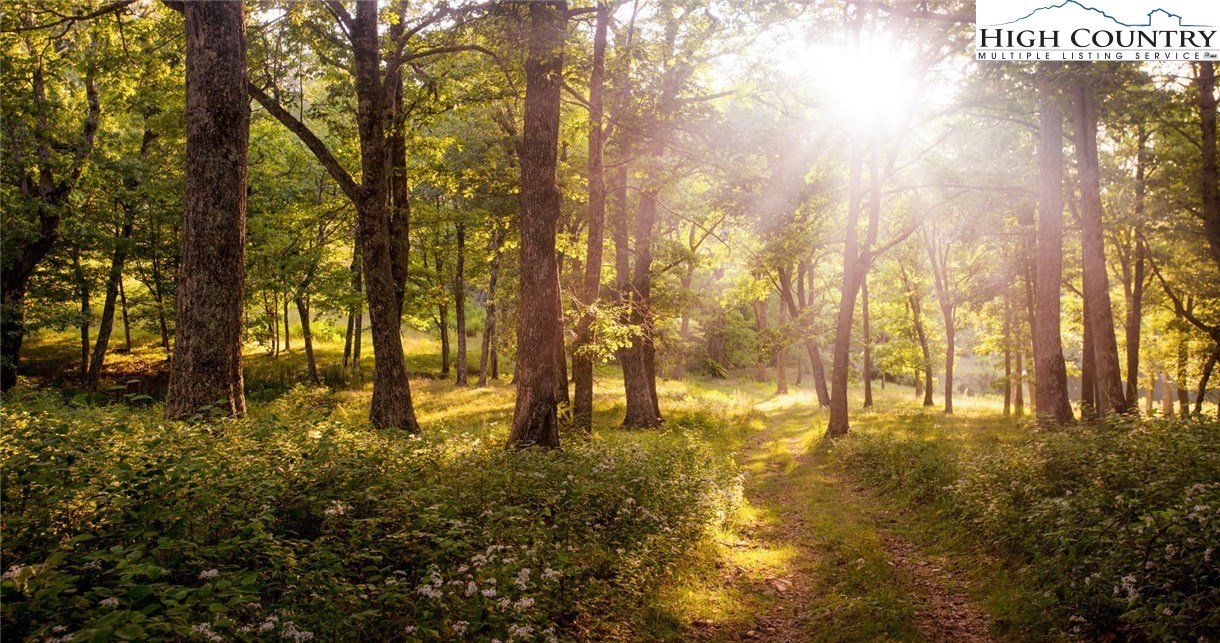 81 Adkins Farm Road Spruce Pine, NC 28777 - Photo 9 of 37 a view of yard